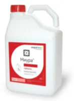 Миура